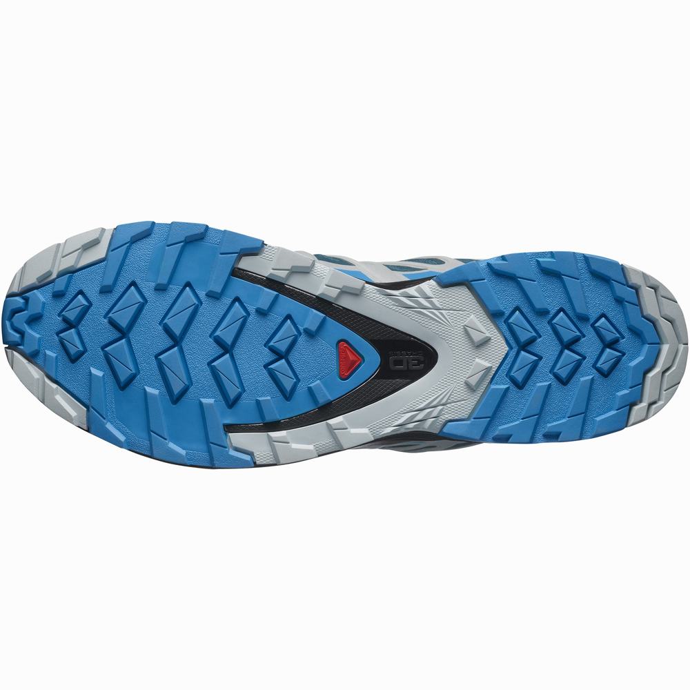 Salomon Xa Pro 3d V8 Gore-tex Patika Koşu Ayakkabısı Erkek Mavi | Türkiye-5472390