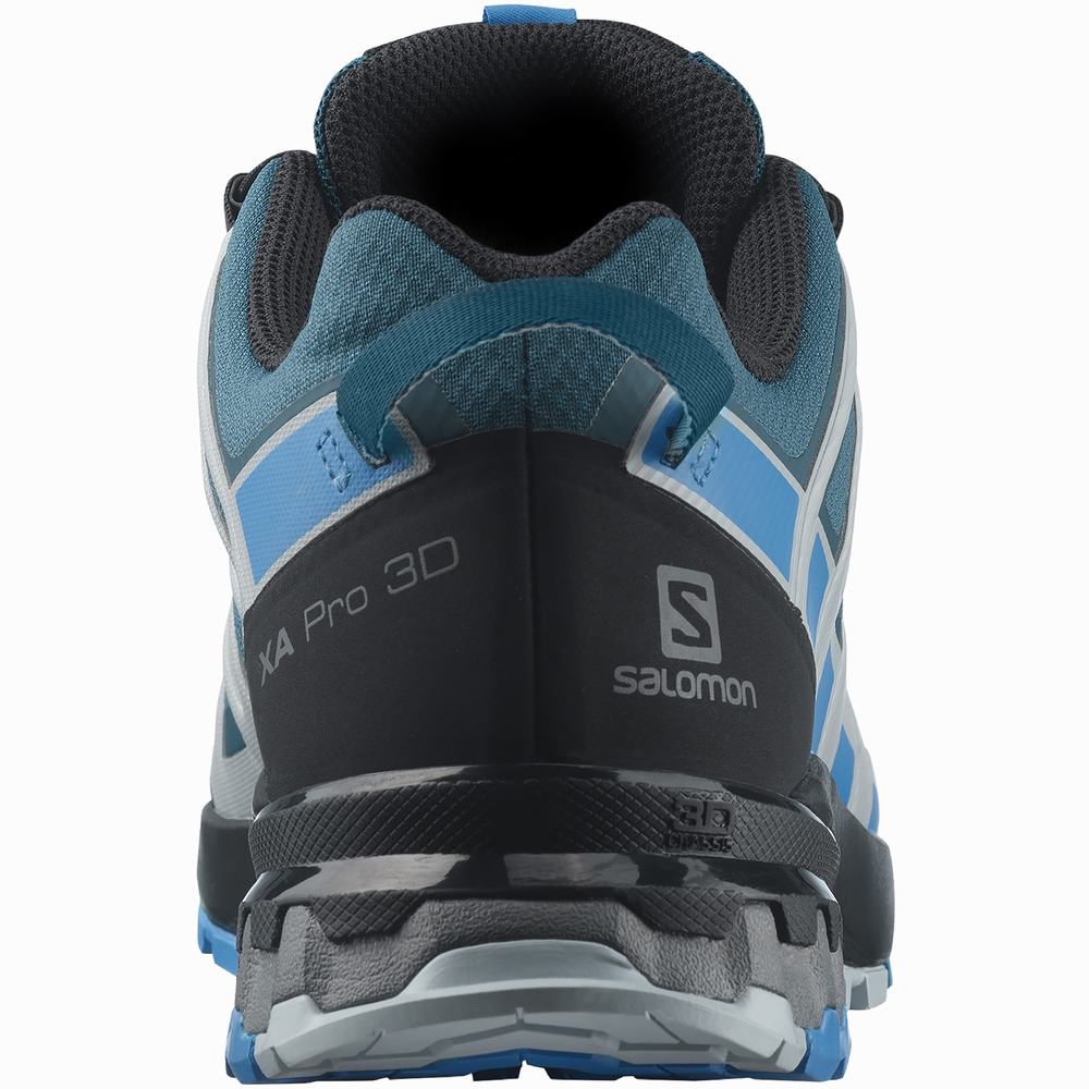 Salomon Xa Pro 3d V8 Gore-tex Patika Koşu Ayakkabısı Erkek Mavi | Türkiye-5472390