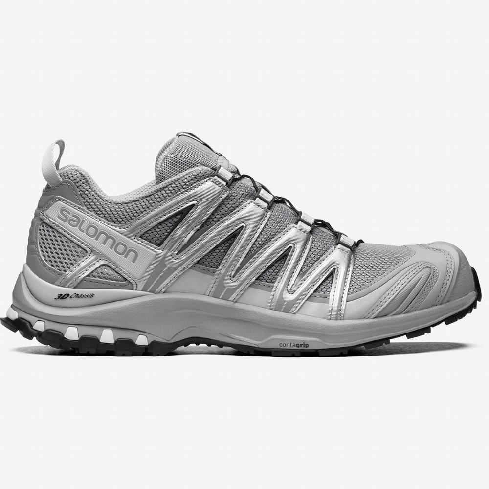 Salomon Xa Pro 3d Spor Ayakkabı Erkek Grey/Silver | Türkiye-7982405